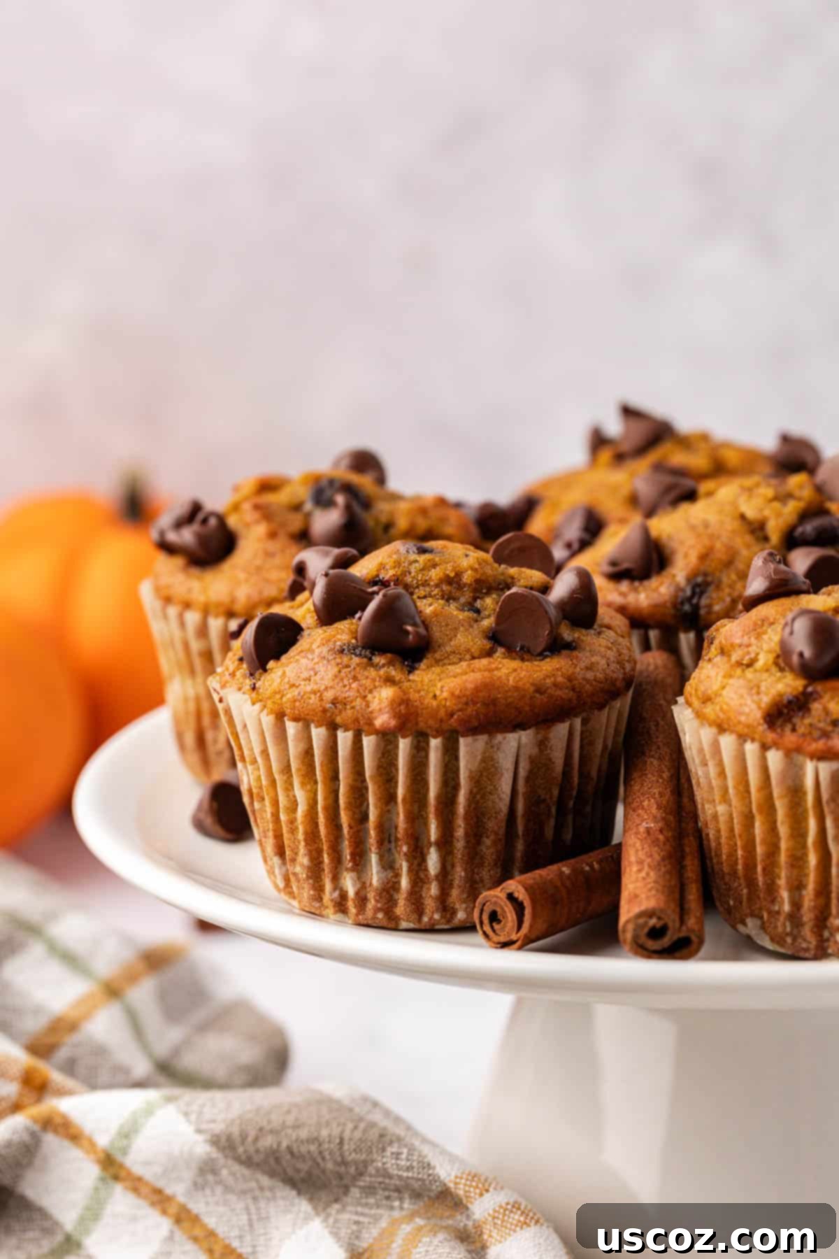 Spiced Pumpkin Chocolate Chip Muffins 2 pumpkin chocolate chip muffins