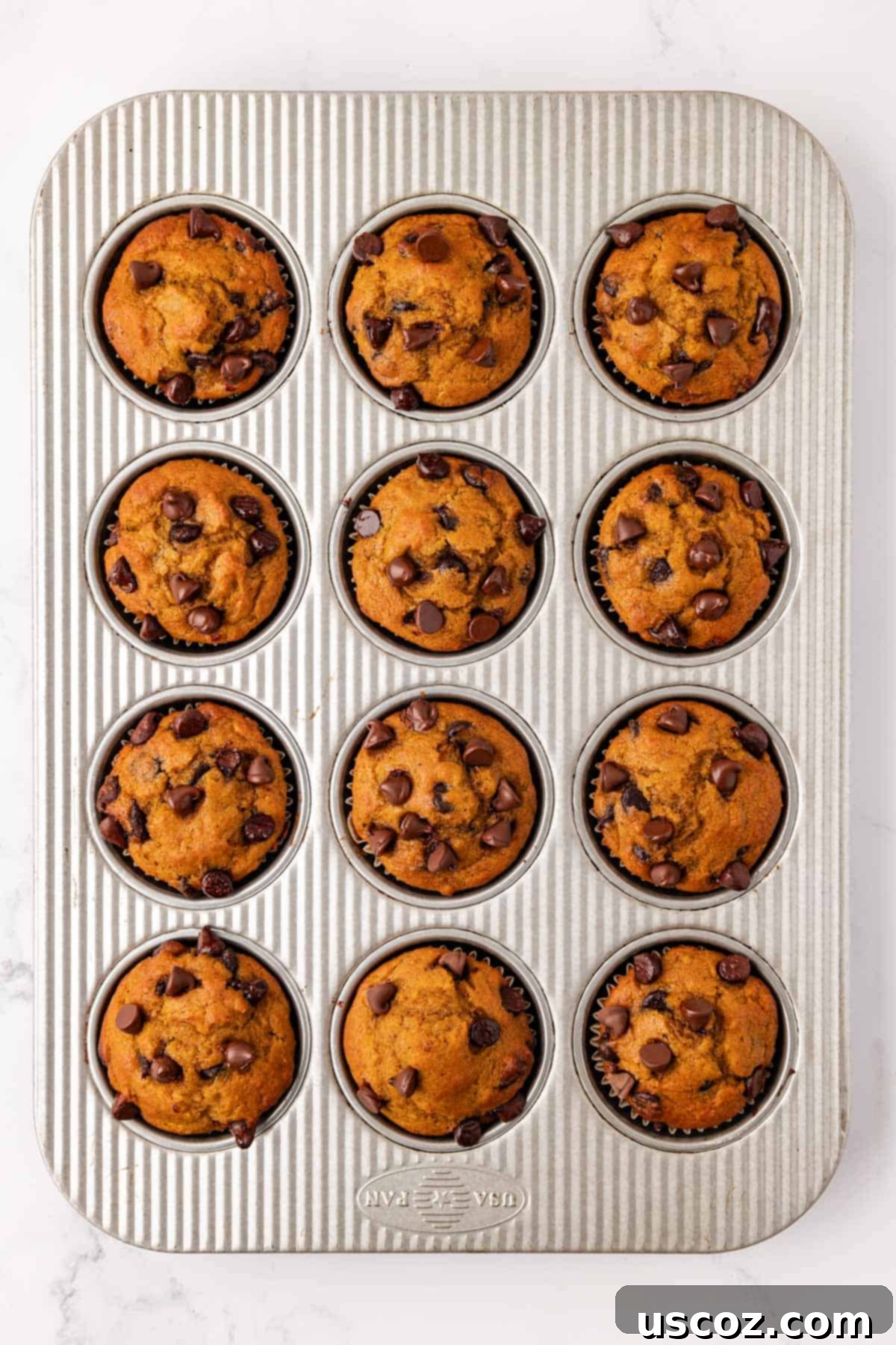 Spiced Pumpkin Chocolate Chip Muffins 14 pumpkin chocolate chip muffins in the muffin tin