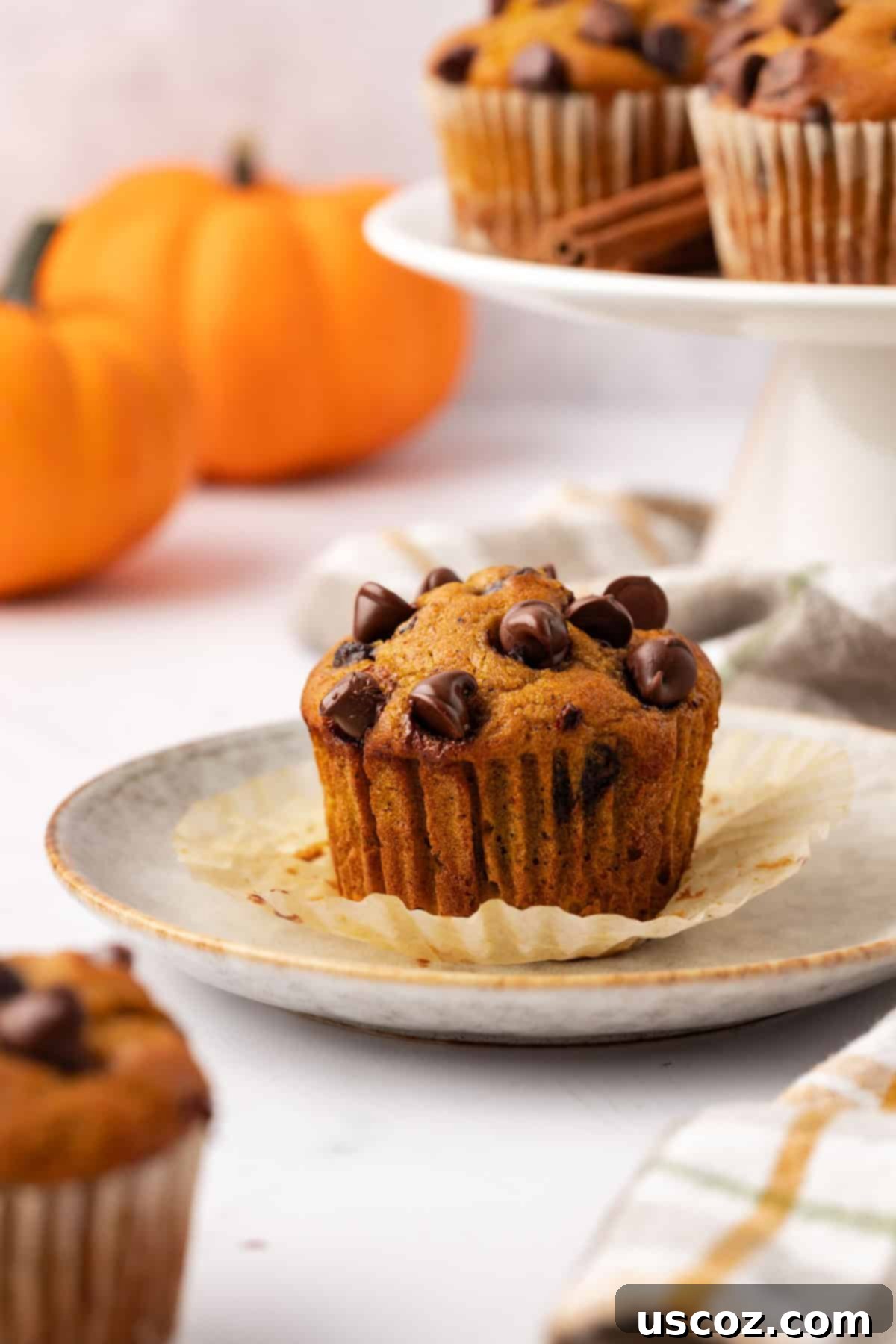 Spiced Pumpkin Chocolate Chip Muffins 15 pumpkin chocolate chip muffin on a plate