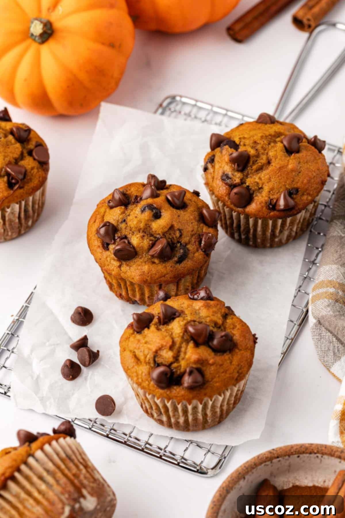 Spiced Pumpkin Chocolate Chip Muffins 16 pumpkin chocolate chip muffins