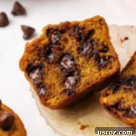 Spiced Pumpkin Chocolate Chip Muffins 20 pumpkin chocolate chip muffin