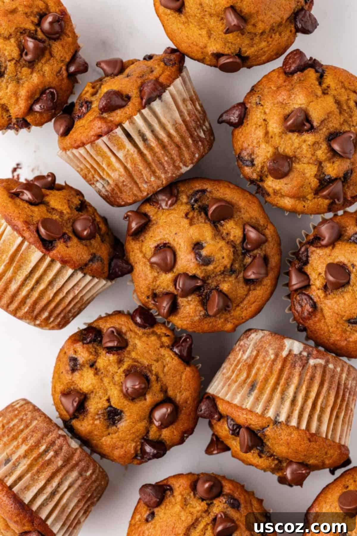 Spiced Pumpkin Chocolate Chip Muffins 3 pumpkin chocolate chip muffins