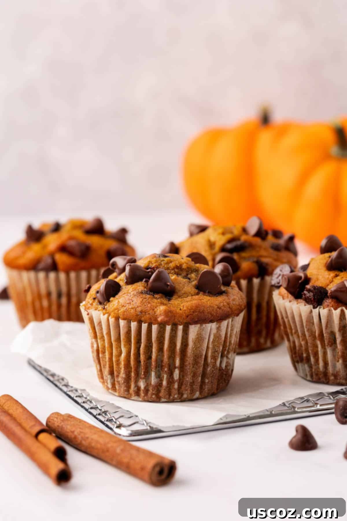 Spiced Pumpkin Chocolate Chip Muffins 21 pumpkin chocolate chip muffins