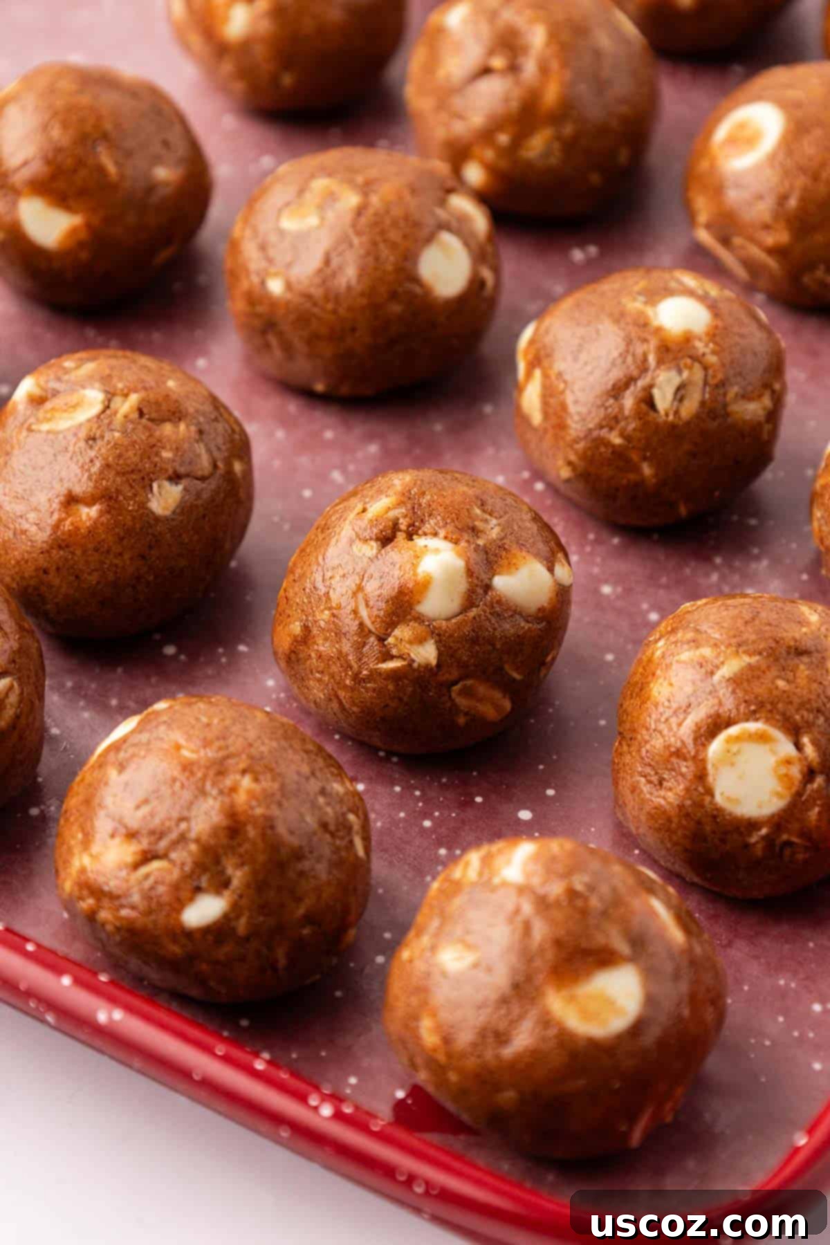 Gingerbread Fuel Bites 8 gingerbread energy bites