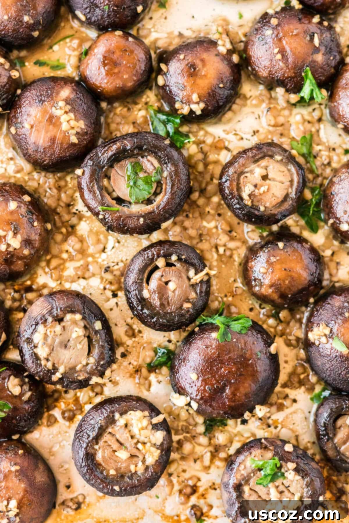 Garlicky Roasted Mushrooms 2 roasted garlic mushrooms on a baking sheet, golden brown and sizzling