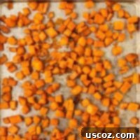 Golden Roasted Sweet Potato Bites 10 A high-angle shot of delicious roasted sweet potato cubes, golden brown and perfectly seasoned, on a baking sheet, ready for serving.