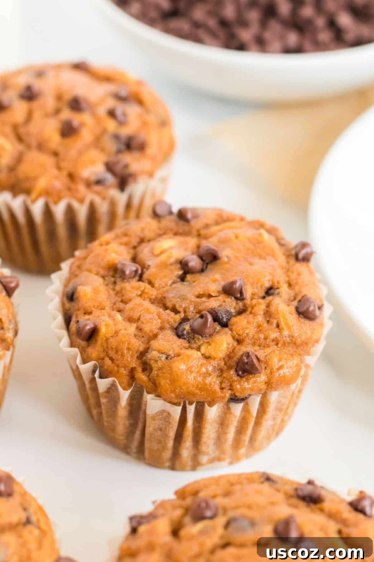 Guilt-Free Pumpkin Chocolate Chip Muffins 2 Delicious and healthy pumpkin chocolate chip muffins ready to eat