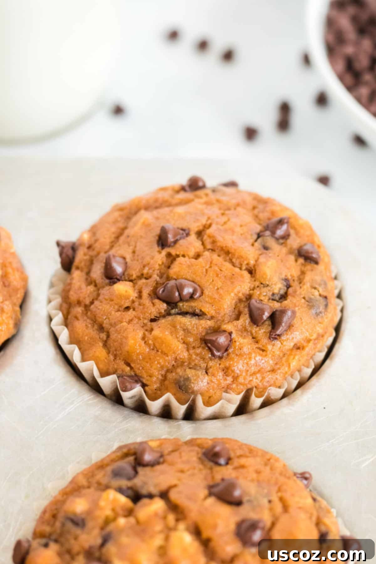 Guilt-Free Pumpkin Chocolate Chip Muffins 11 A single healthy pumpkin chocolate chip muffin in a baking pan