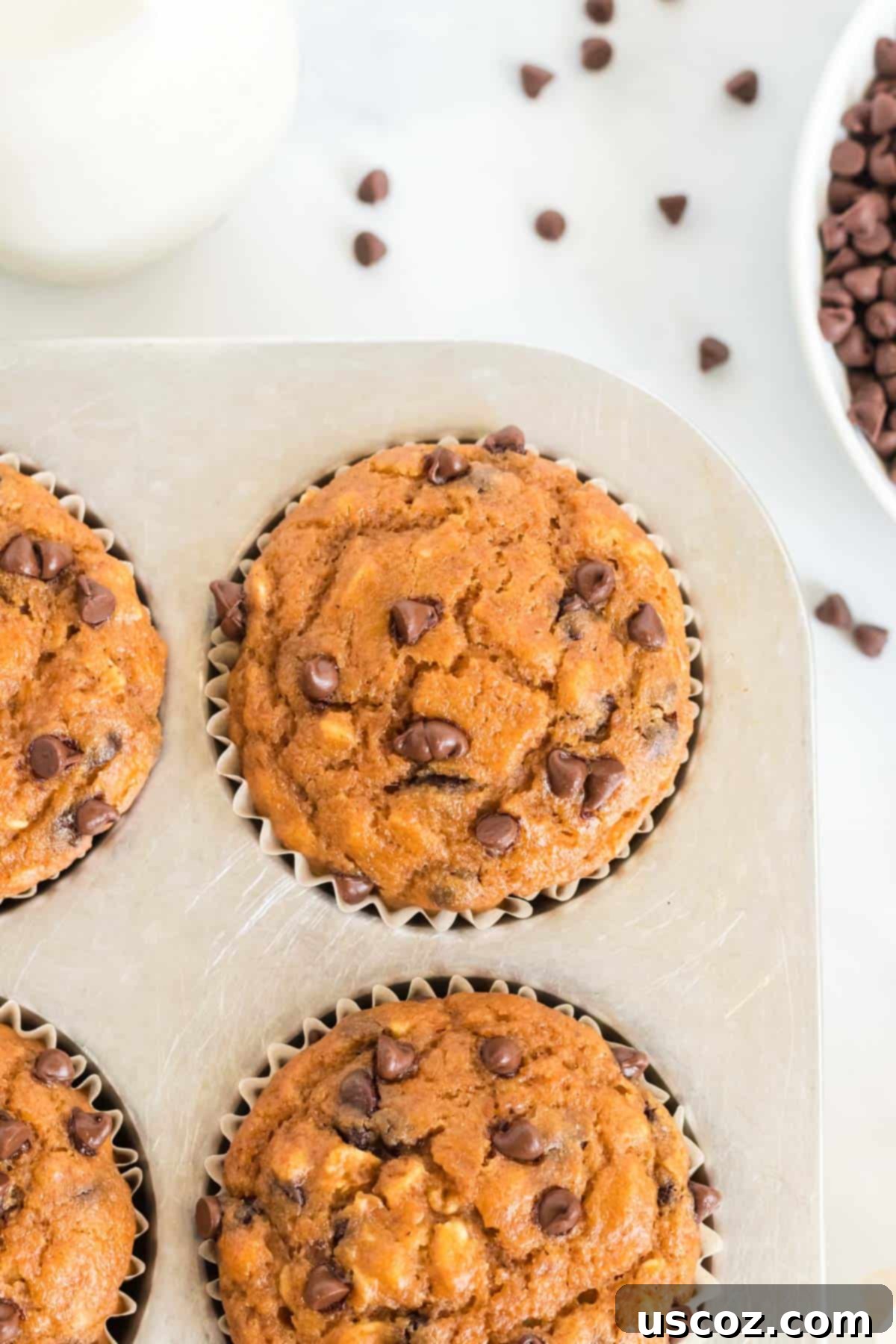 Guilt-Free Pumpkin Chocolate Chip Muffins 13 A single healthy pumpkin chocolate chip muffin in a baking pan