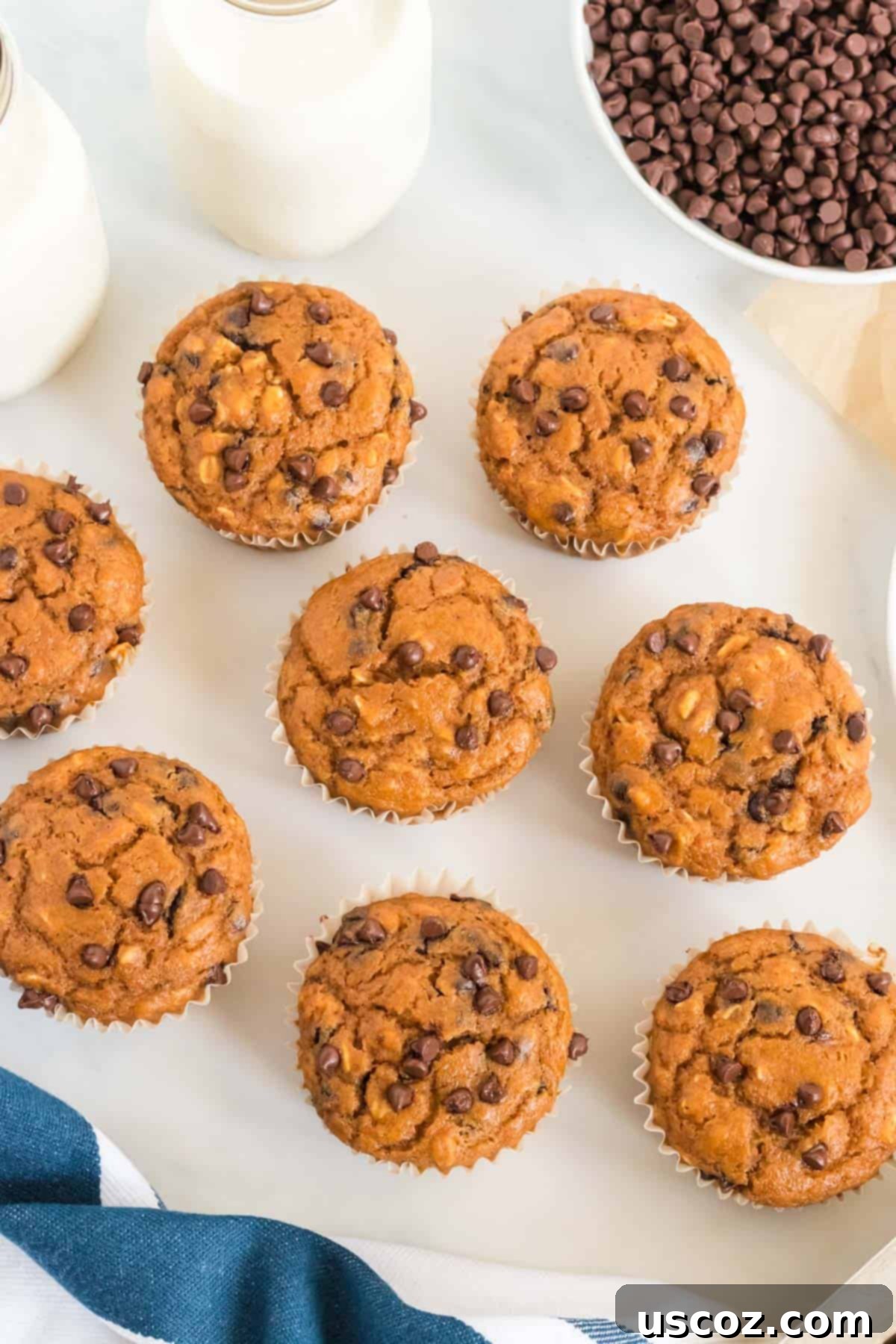 Guilt-Free Pumpkin Chocolate Chip Muffins 14 A batch of healthy pumpkin chocolate chip muffins cooling on a wire rack
