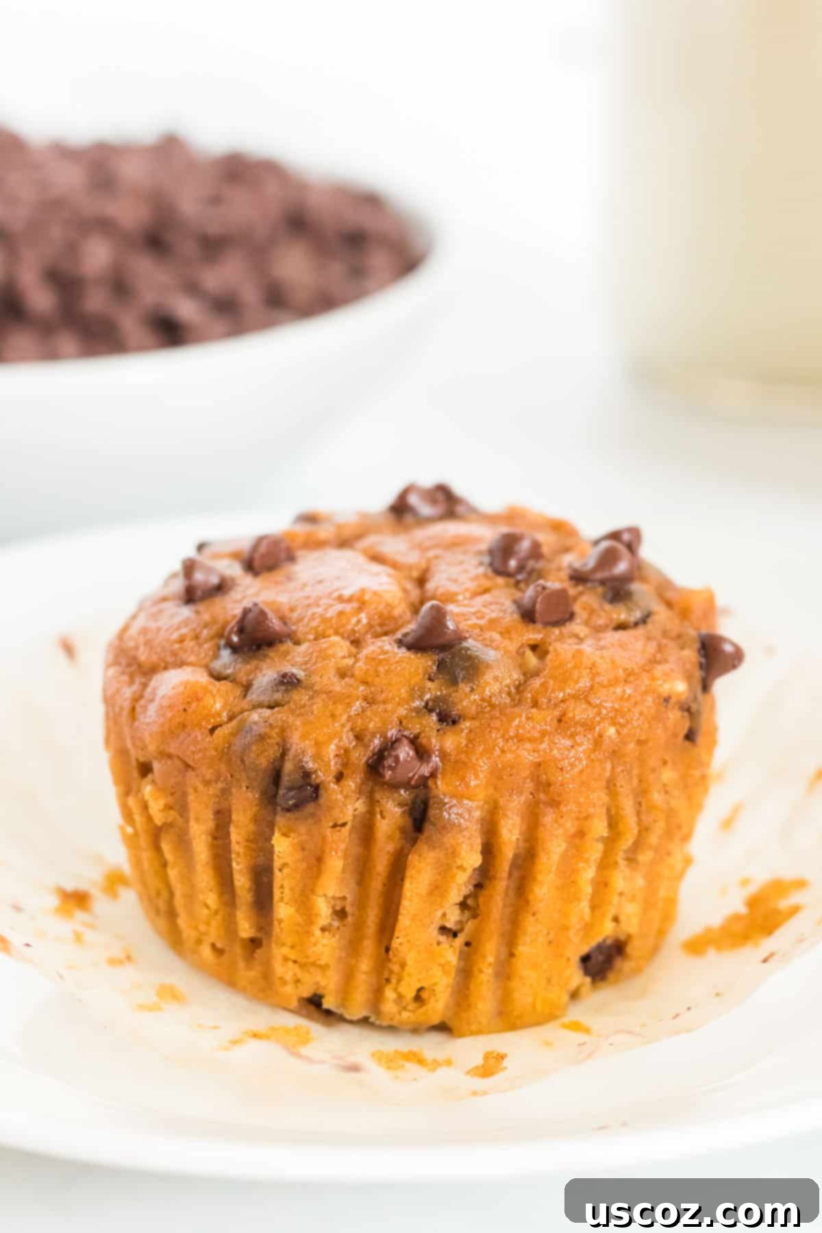 Guilt-Free Pumpkin Chocolate Chip Muffins 15 A healthy pumpkin muffin outside of its liner, showing its soft interior