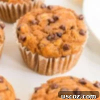 Guilt-Free Pumpkin Chocolate Chip Muffins 16 pumpkin chocolate chip muffins