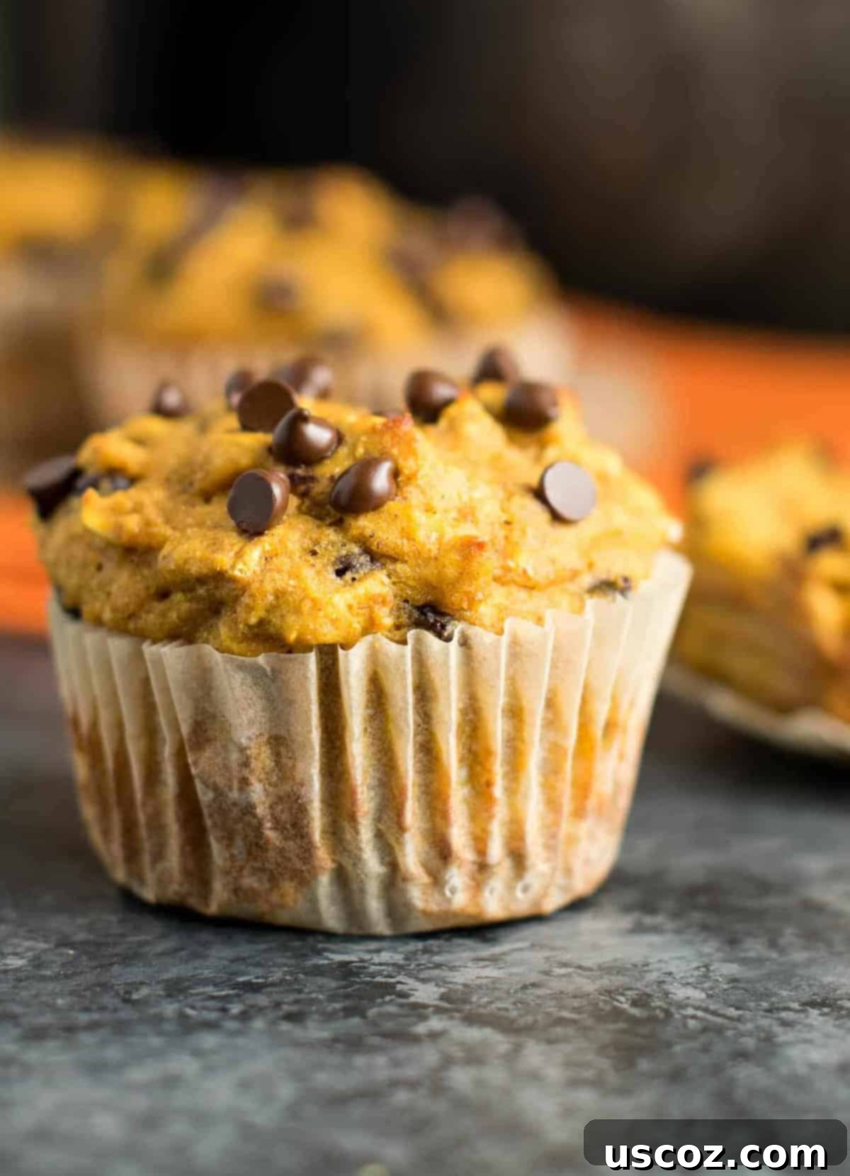 Guilt-Free Pumpkin Chocolate Chip Muffins 17 Close up of a Skinny Pumpkin Chocolate Chip Muffin, showing its texture and chocolate chips