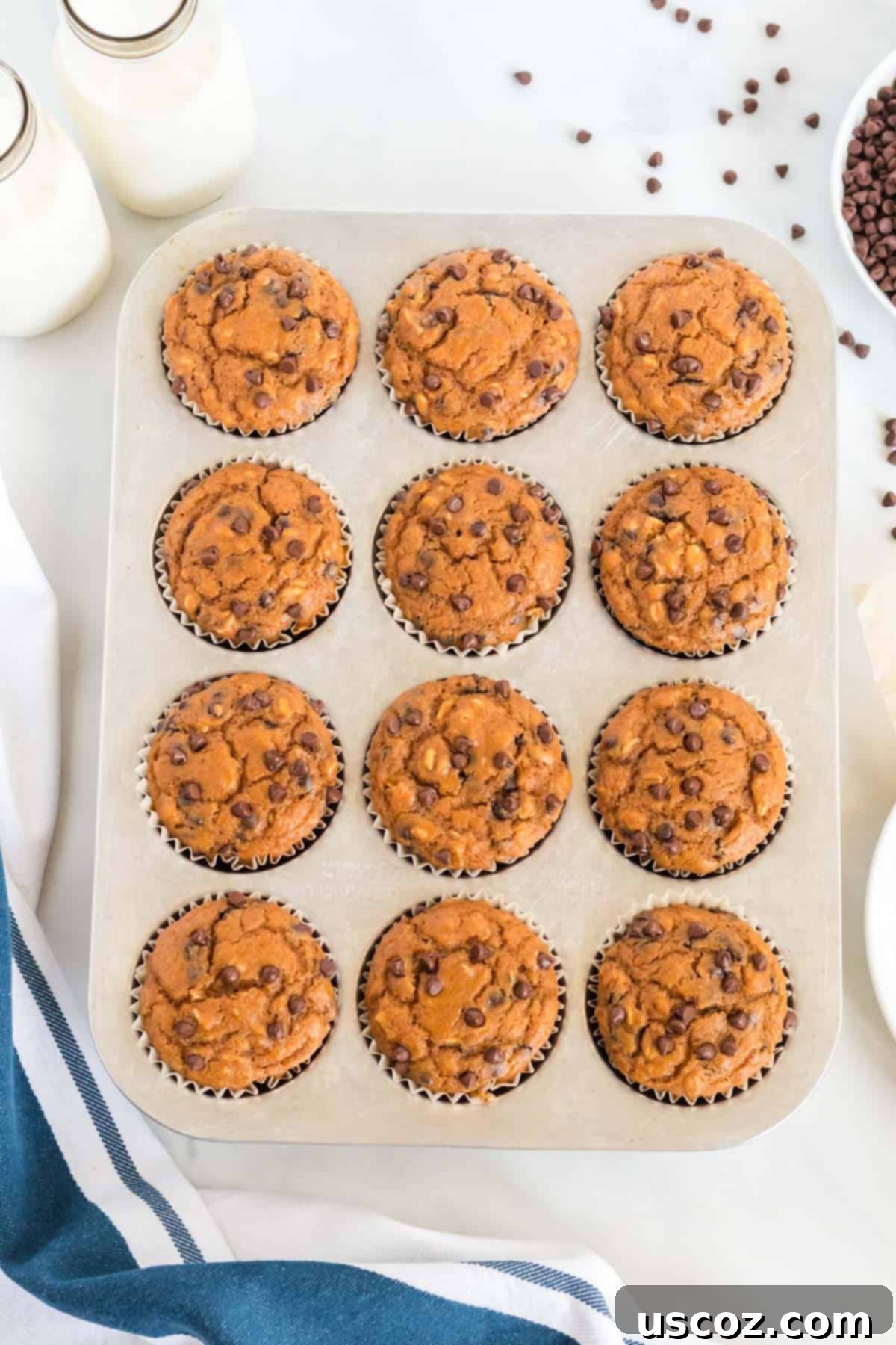 Guilt-Free Pumpkin Chocolate Chip Muffins 10 Cooked pumpkin muffin in the muffin tin after baking