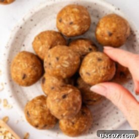 Oat Cookie Power Bites 10 Oatmeal Cookie Energy Balls featured image