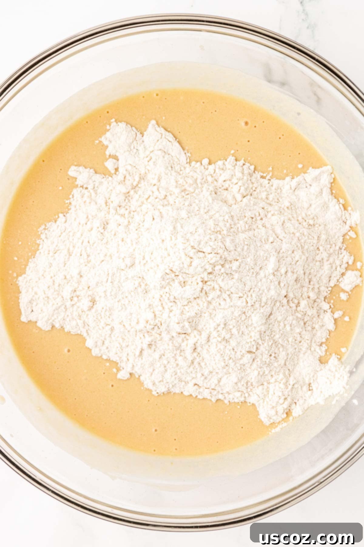 Wholesome Greek Yogurt Cake 11 adding dry ingredients to wet for Greek Yogurt Snack Cake batter