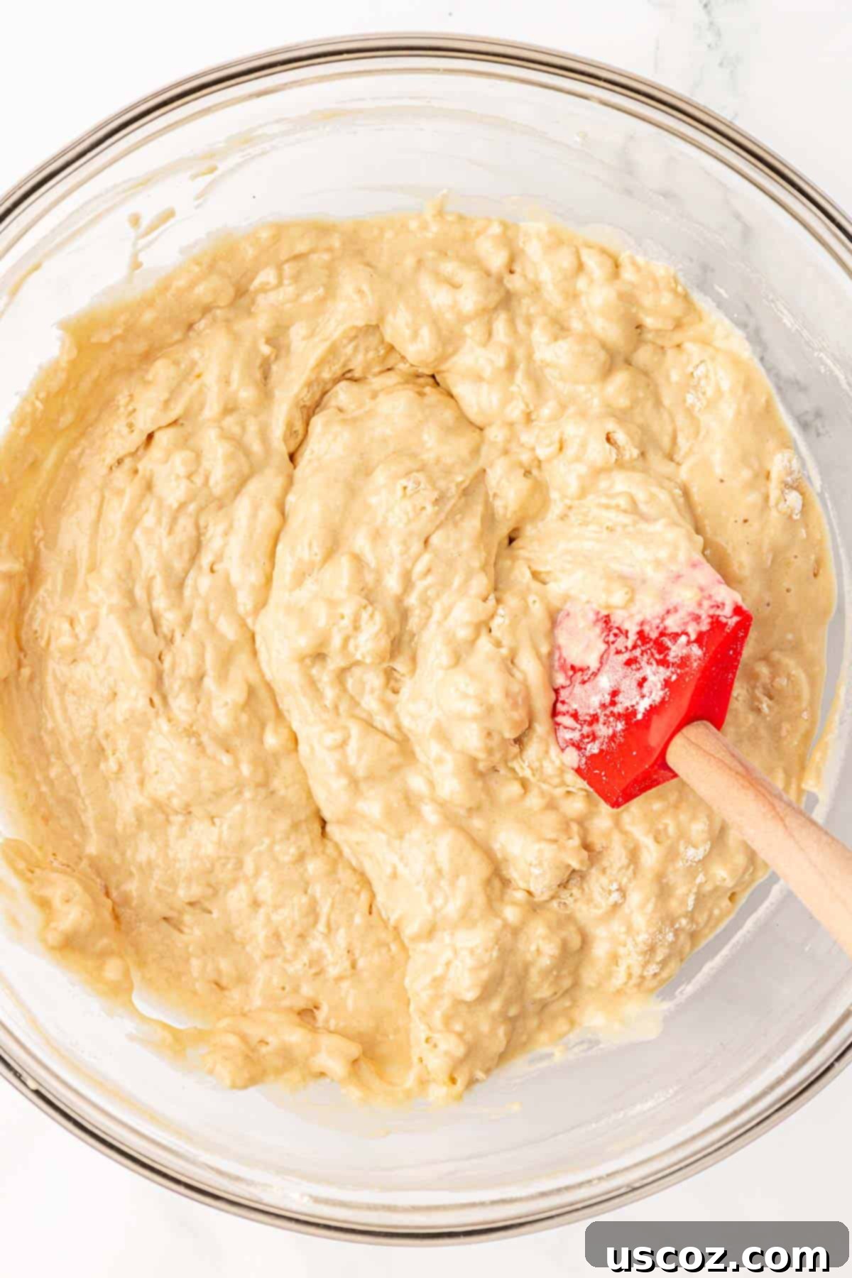 Wholesome Greek Yogurt Cake 12 mixing Greek yogurt snack cake batter until just combined