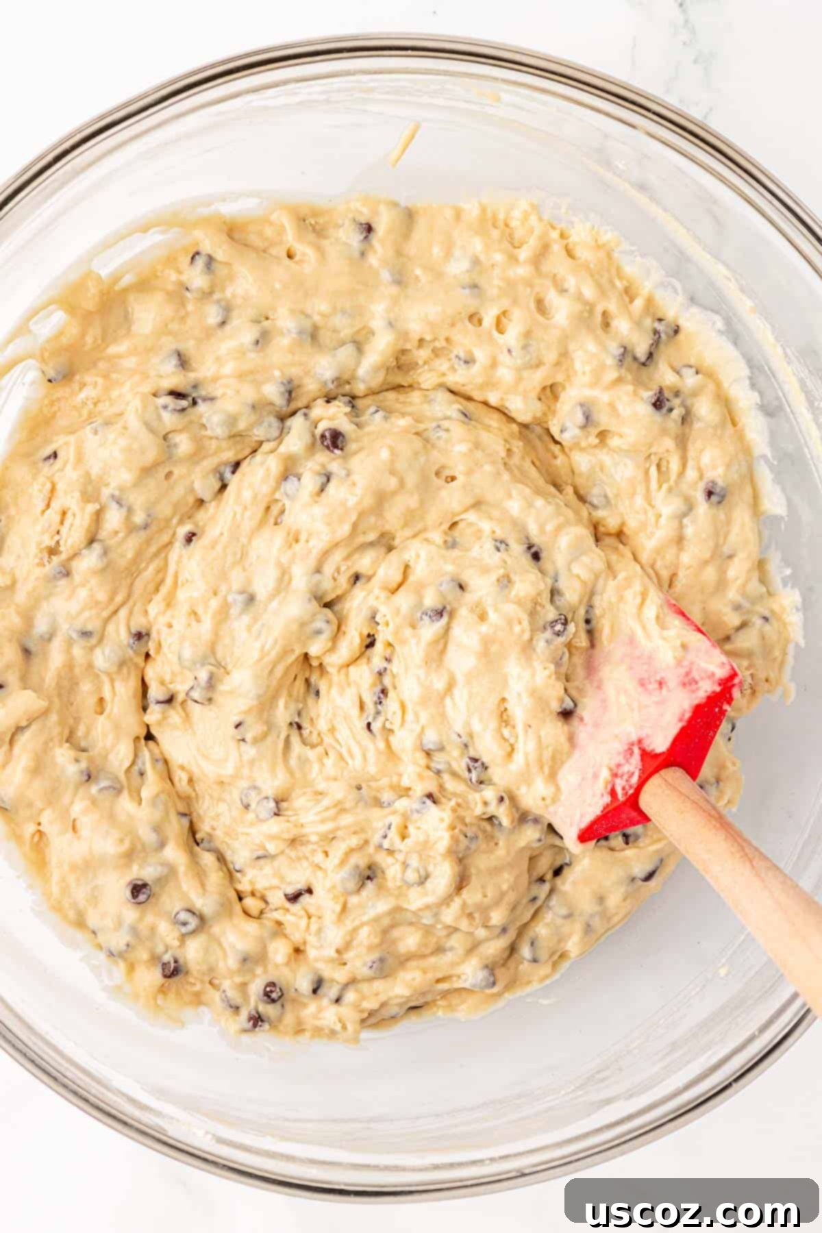 Wholesome Greek Yogurt Cake 14 folding chocolate chips into Greek Yogurt Snack Cake batter