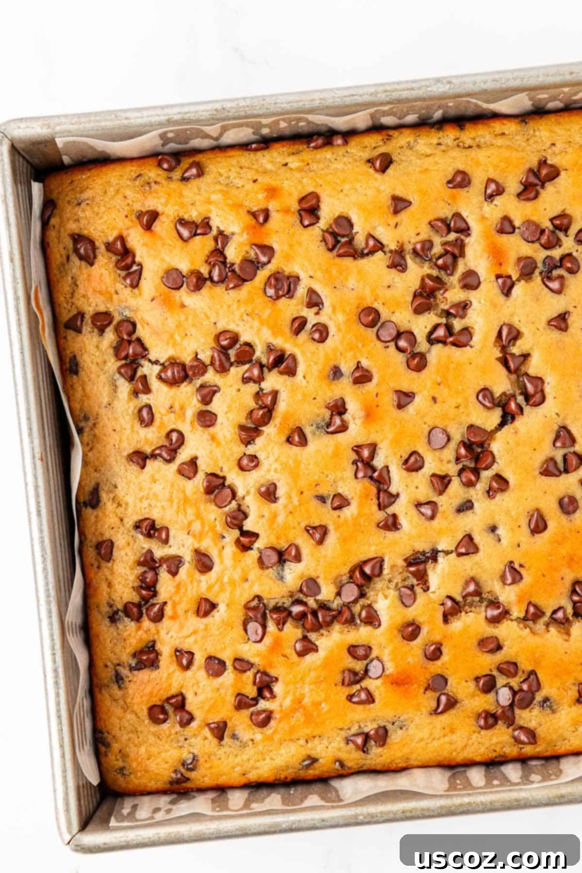 Wholesome Greek Yogurt Cake 16 Greek yogurt snack cake batter topped with chocolate chips before baking