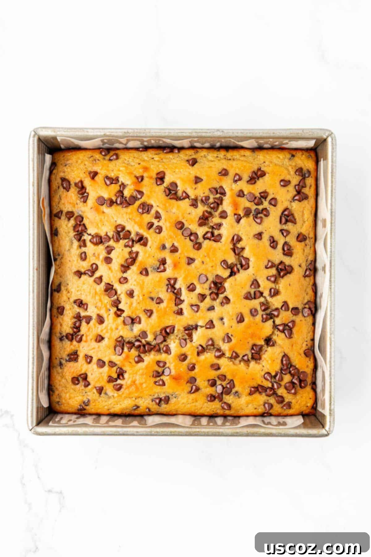 Wholesome Greek Yogurt Cake 17 freshly baked Greek yogurt snack cake in a baking dish