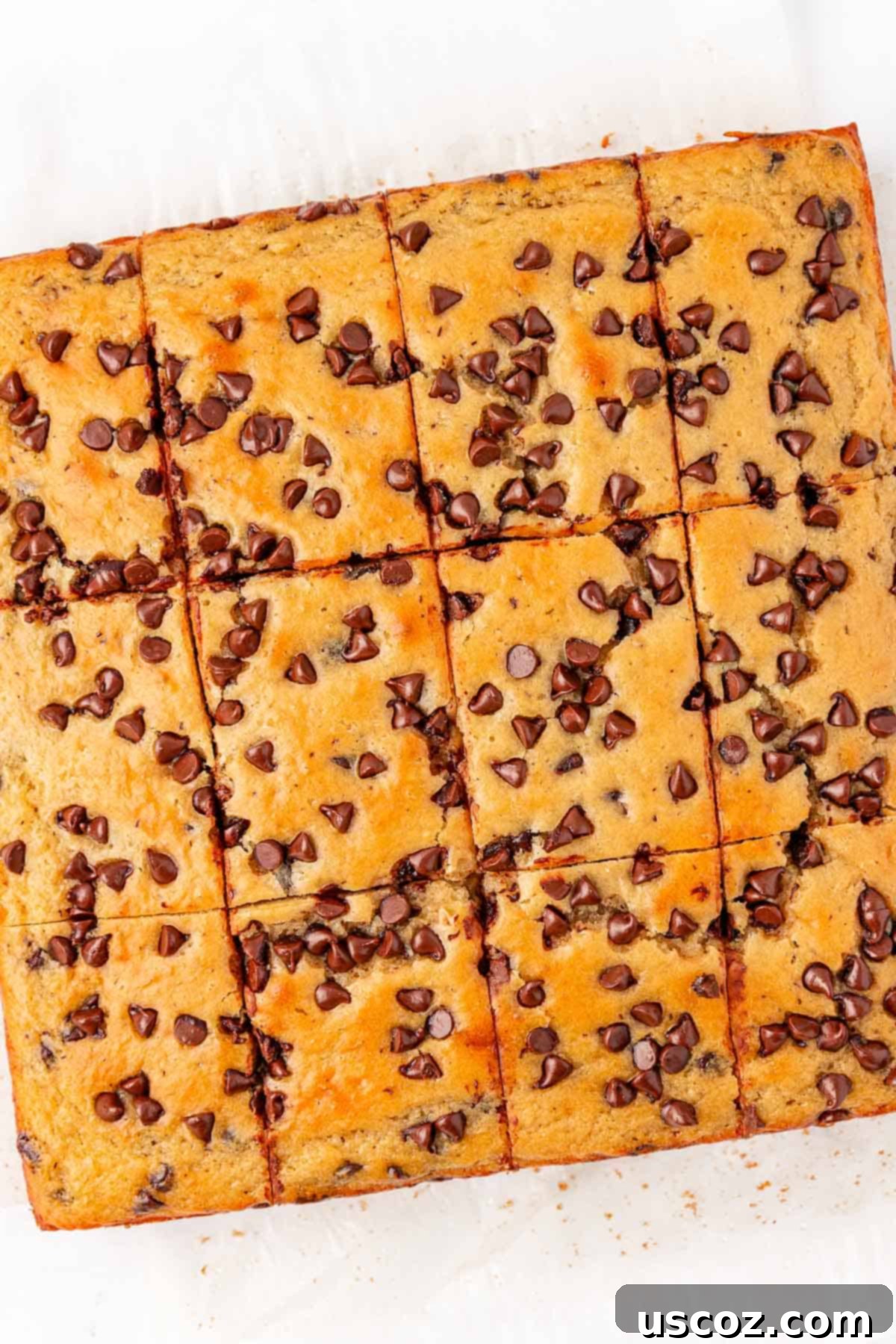 Wholesome Greek Yogurt Cake 18 Greek yogurt snack cake cut into 12 squares