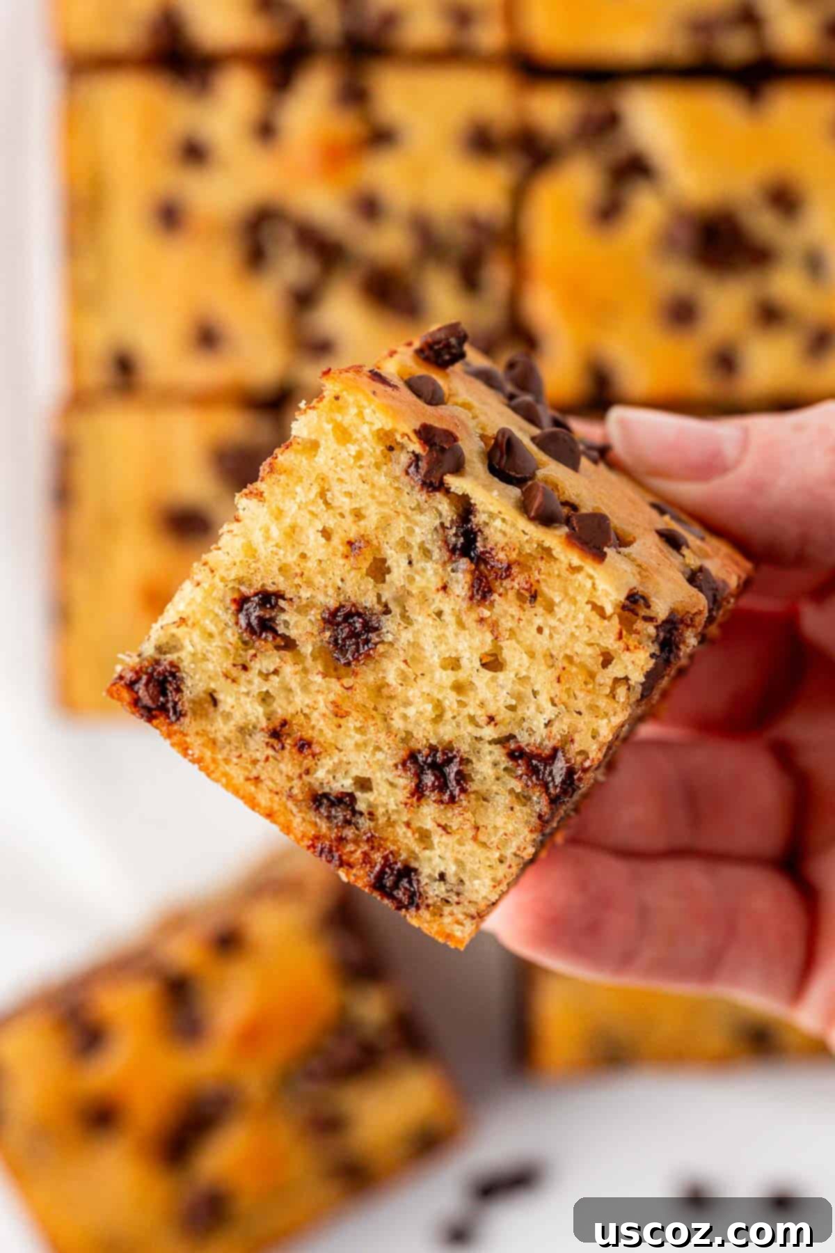Wholesome Greek Yogurt Cake 20 close up of Greek yogurt snack cake with chocolate chips