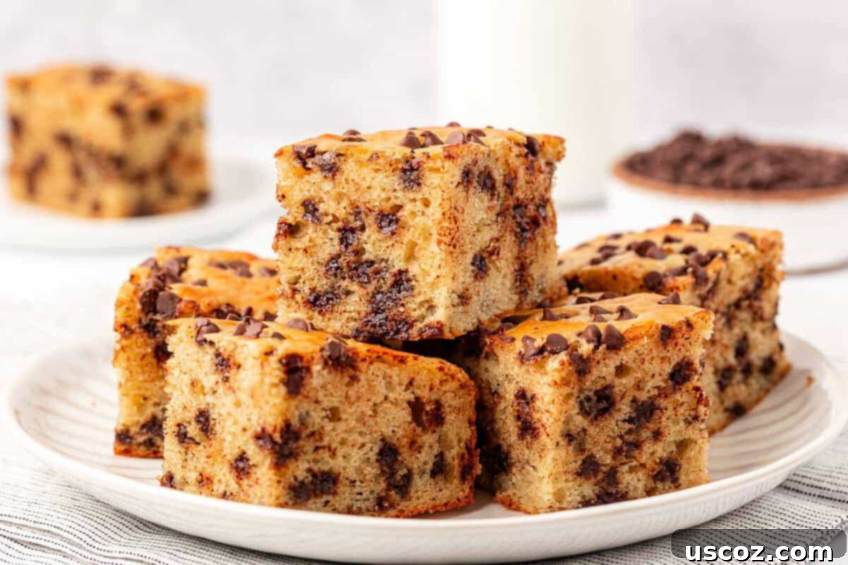 Wholesome Greek Yogurt Cake 23 assortment of greek yogurt snack cakes