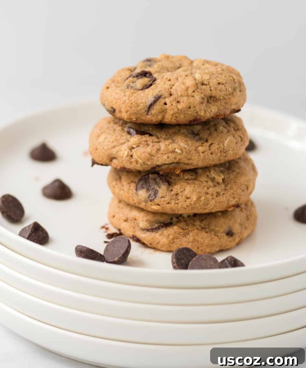 Wholesome Chocolate Chip Comforts 5 A neatly stacked pile of four whole wheat chocolate chip cookies on a white plate, showcasing their perfect shape and golden color.