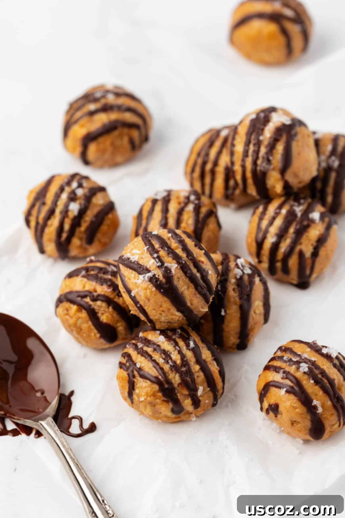 Crunchy Peanut Butter Power Bites 2 Peanut Butter Crunch Energy Bites with rich dark chocolate drizzle, ready for a healthy snack.