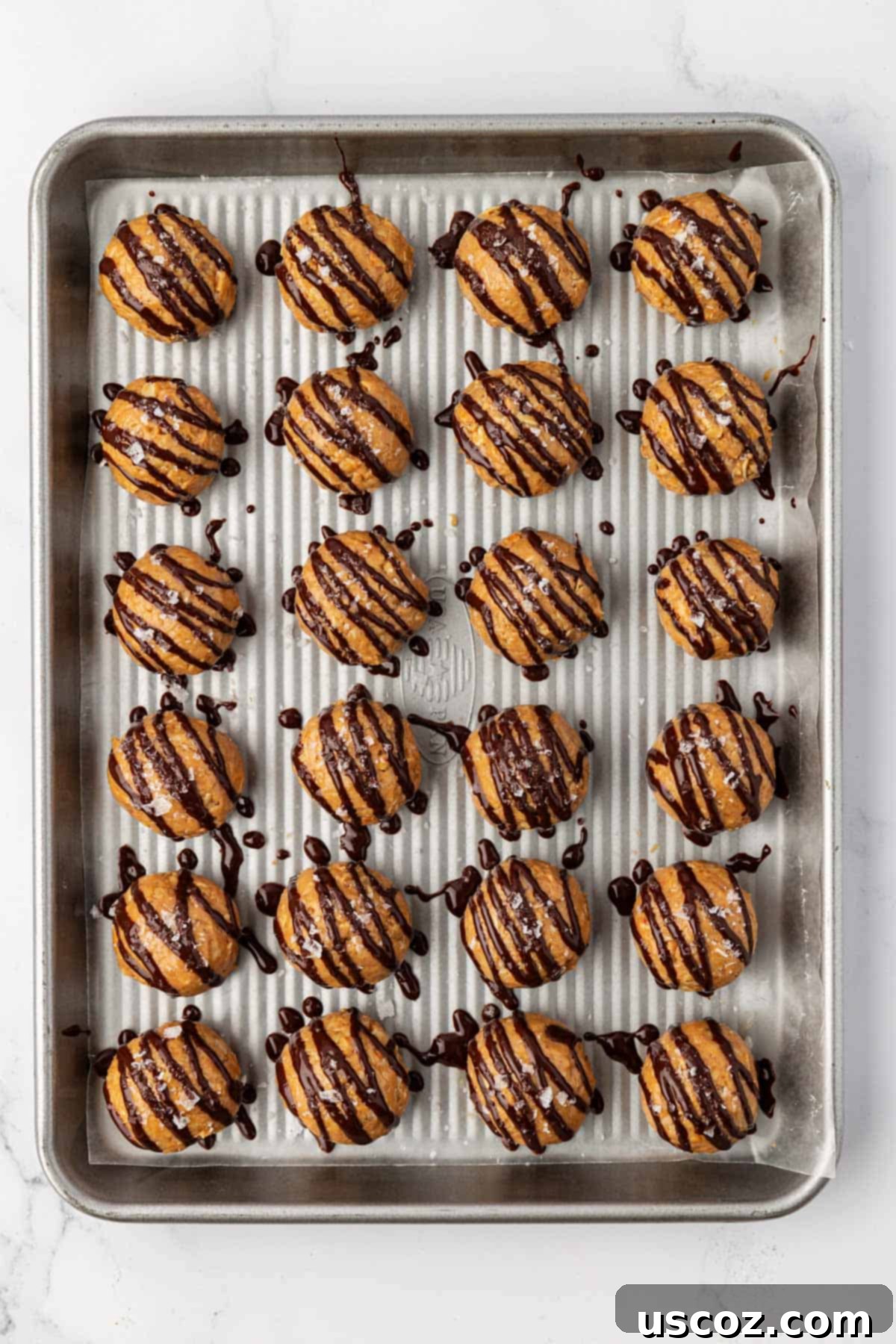 Crunchy Peanut Butter Power Bites 10 Peanut Butter Crunch Energy Bites beautifully drizzled with dark chocolate and sprinkled with sea salt.