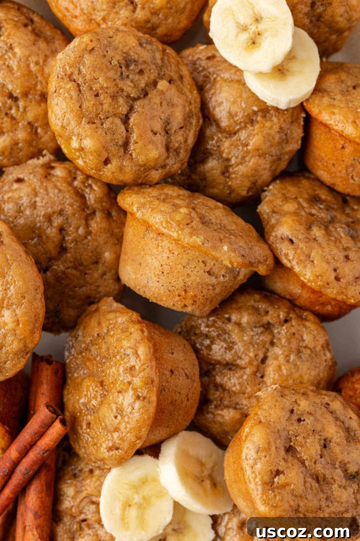 Protein-Rich Banana Muffin Bites 18 greek yogurt banana mini muffins