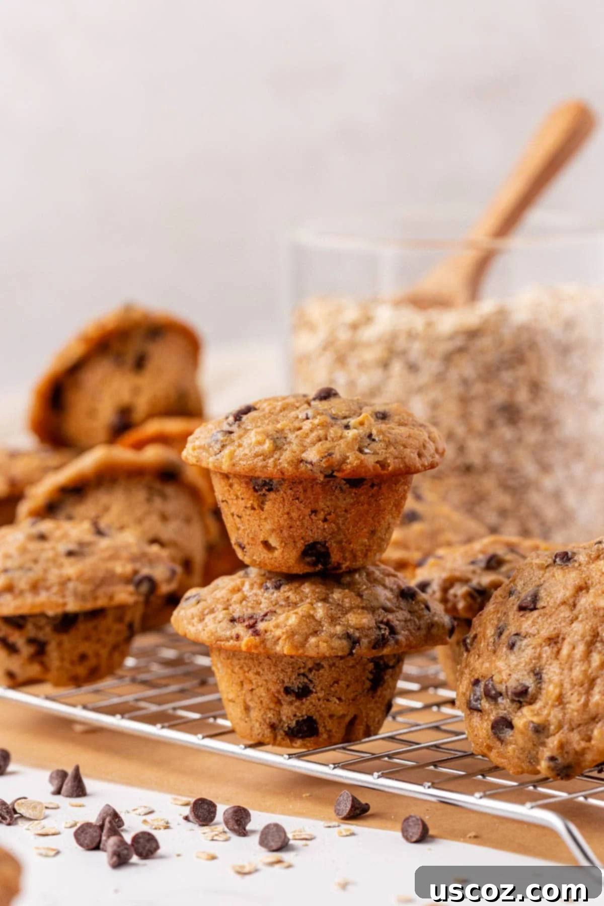 Oatmeal Cookie Muffin Bites 2 oatmeal cookie mini muffins