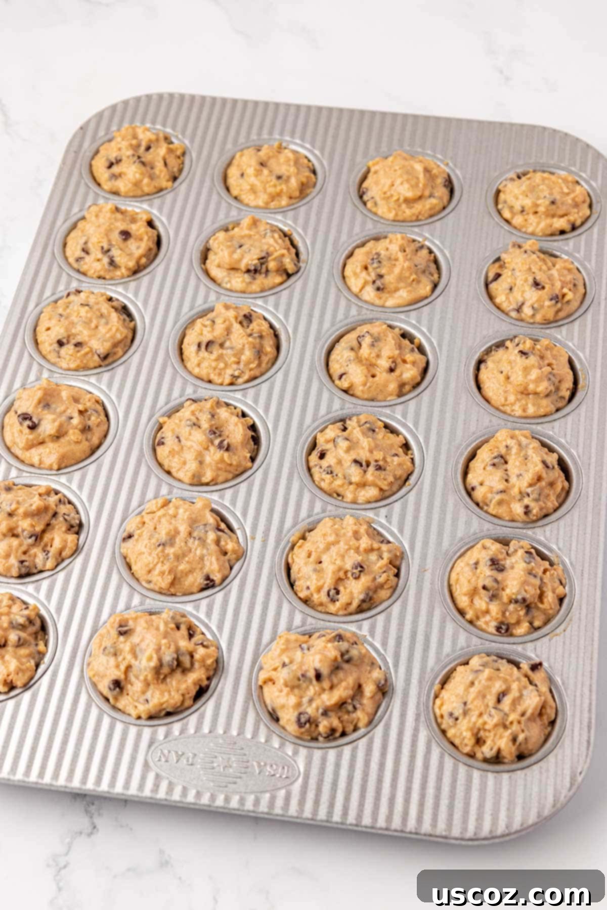 Oatmeal Cookie Muffin Bites 14 mini muffin tin filled with batter