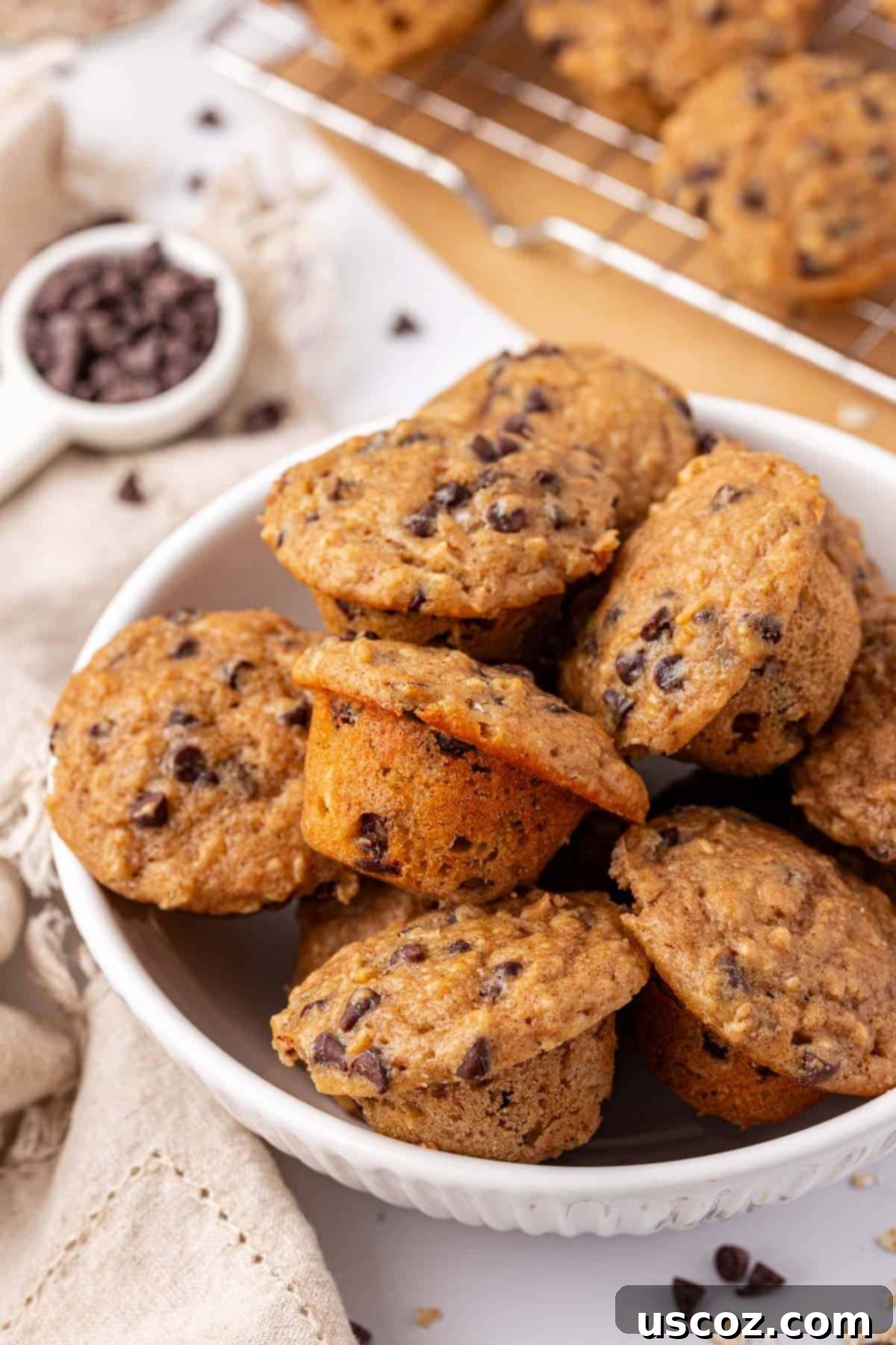 Oatmeal Cookie Muffin Bites 16 oatmeal cookie mini muffins