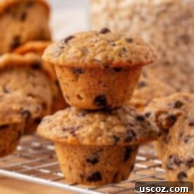 Oatmeal Cookie Muffin Bites 19 oatmeal cookie mini muffins