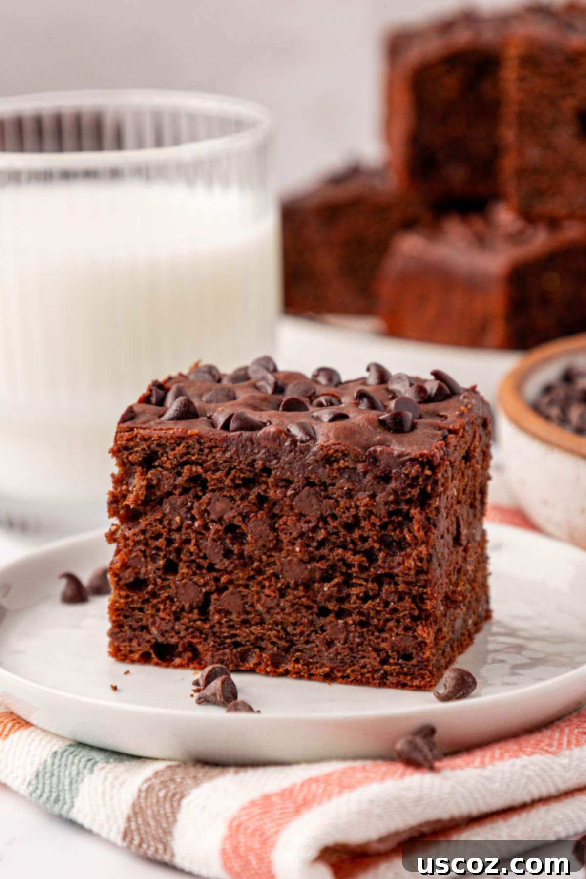 Everyday Chocolate Delight 2 chocolate snack cake