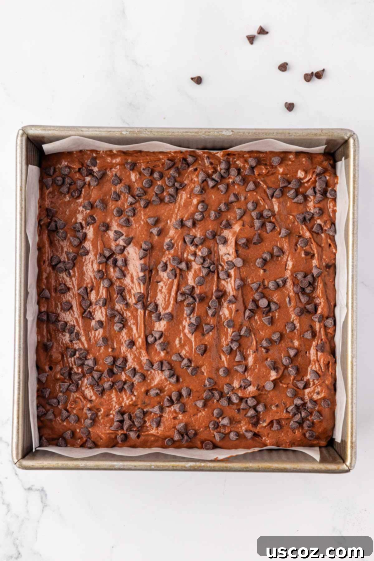 Everyday Chocolate Delight 15 batter in the cake pan topped with mini chocolate chips