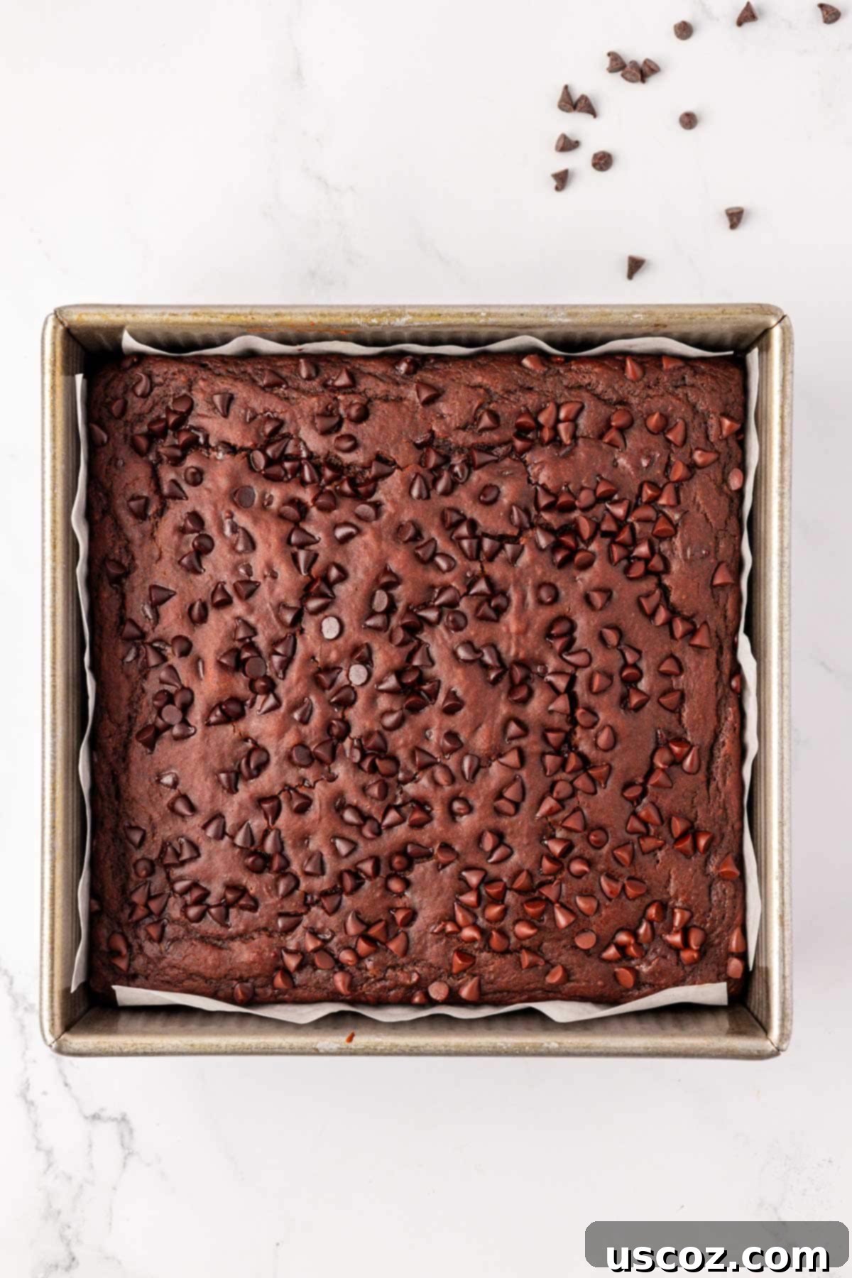 Everyday Chocolate Delight 16 chocolate snack cake in the baking pan