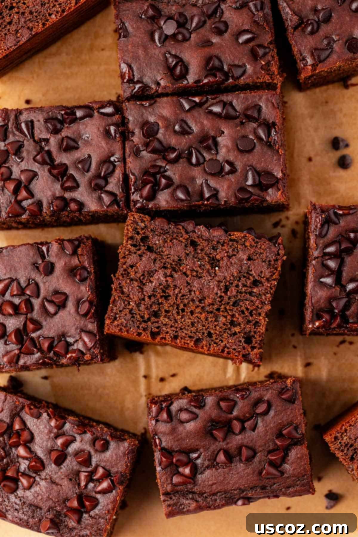 Everyday Chocolate Delight 18 chocolate snack cake