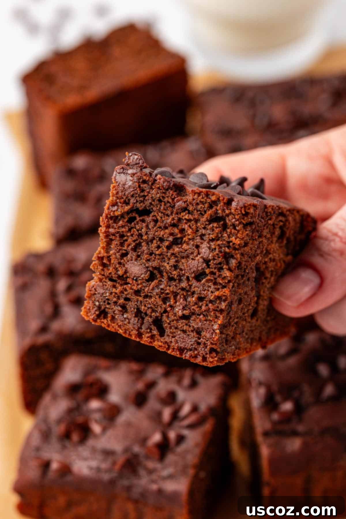 Everyday Chocolate Delight 19 chocolate snack cake