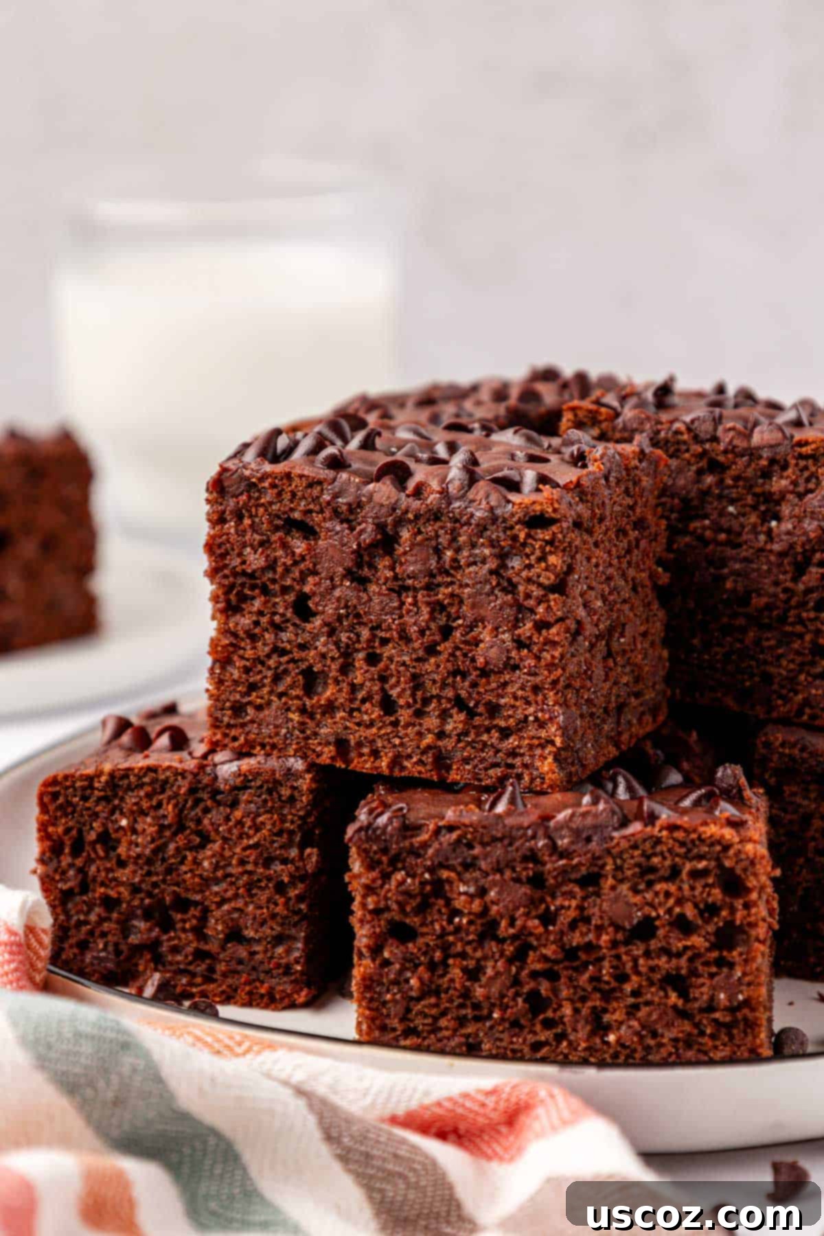 Everyday Chocolate Delight 20 chocolate snack cake
