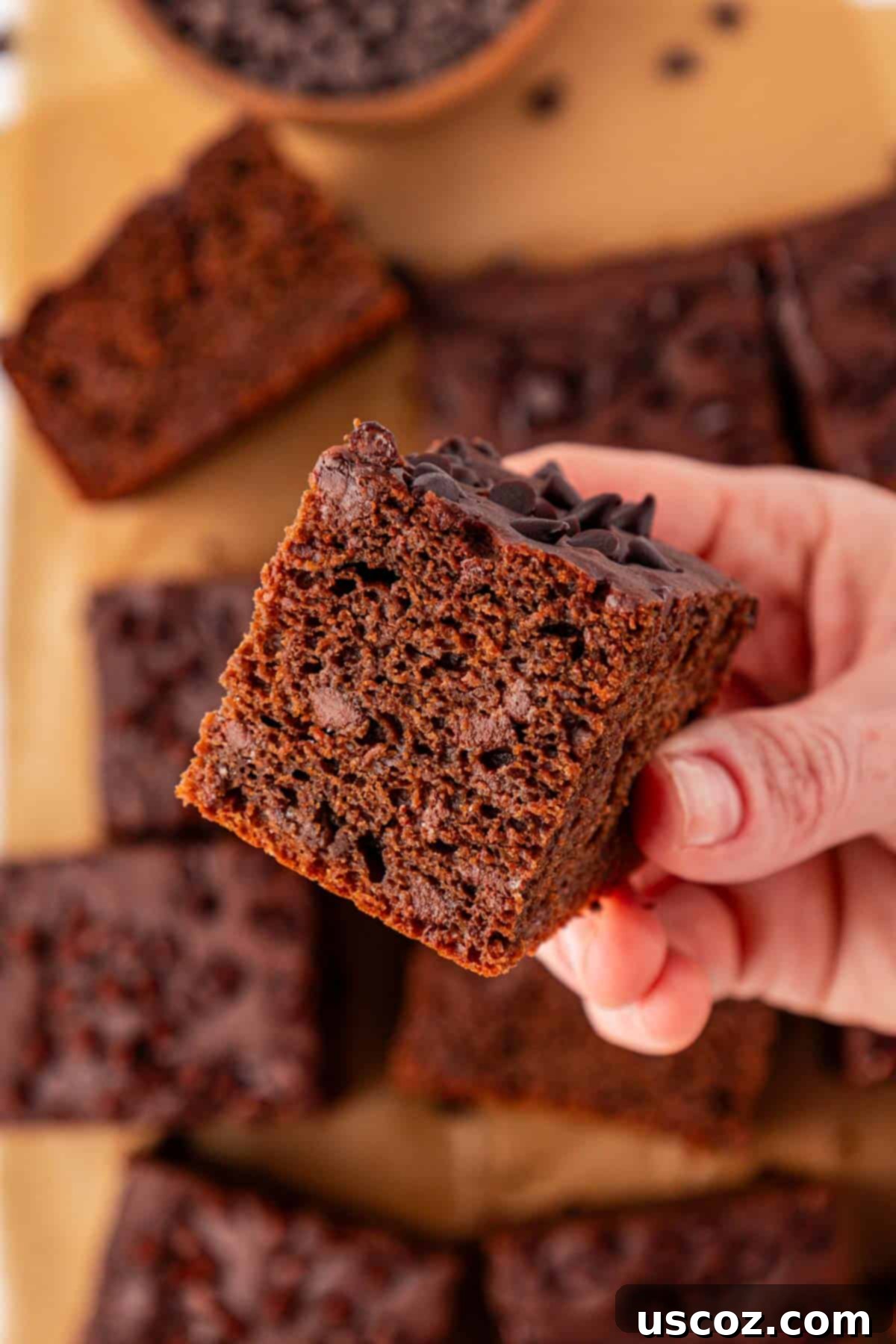 Everyday Chocolate Delight 3 chocolate snack cake