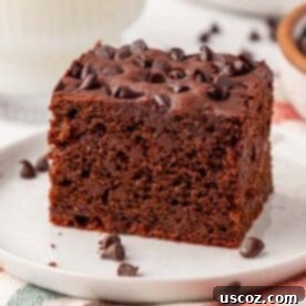 Everyday Chocolate Delight 21 chocolate snack cake