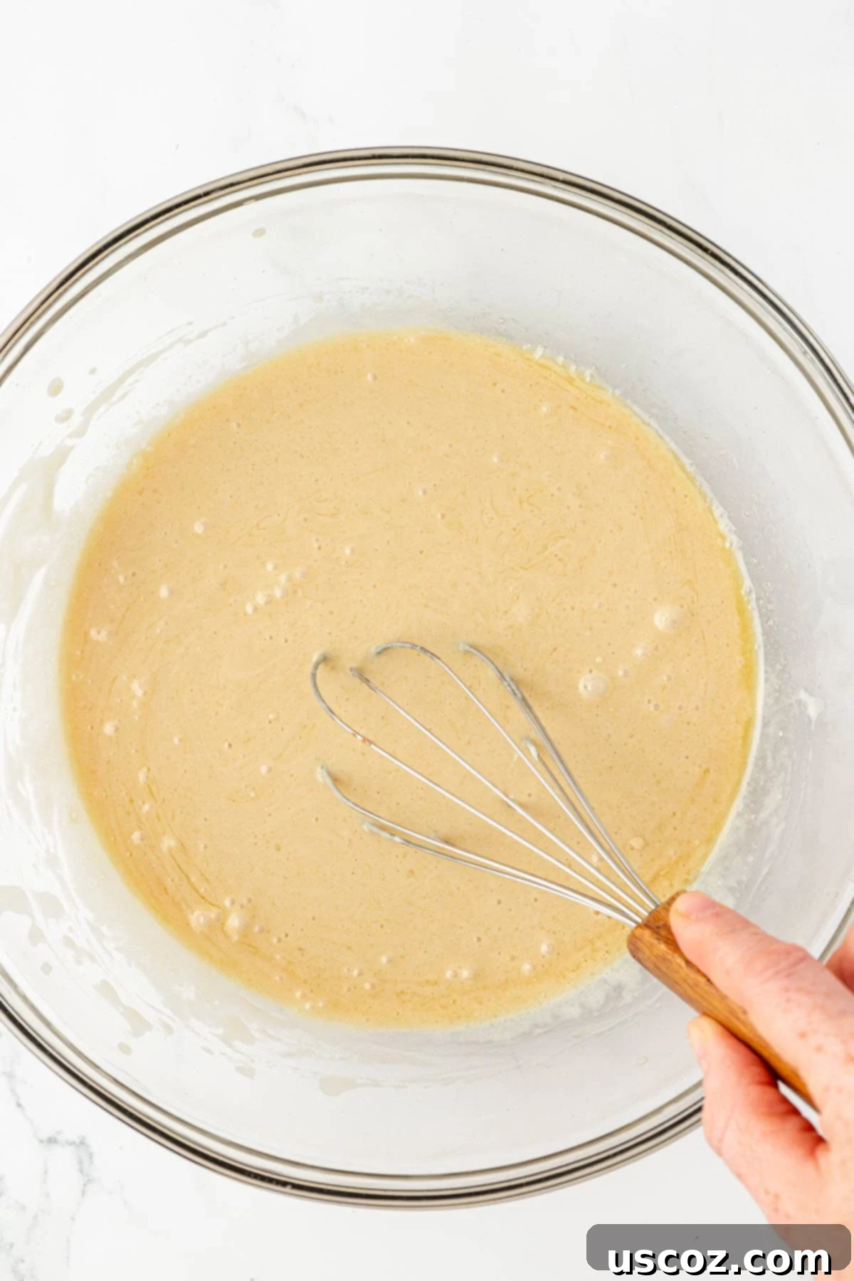 Everyday Chocolate Delight 8 whisking wet ingredients together