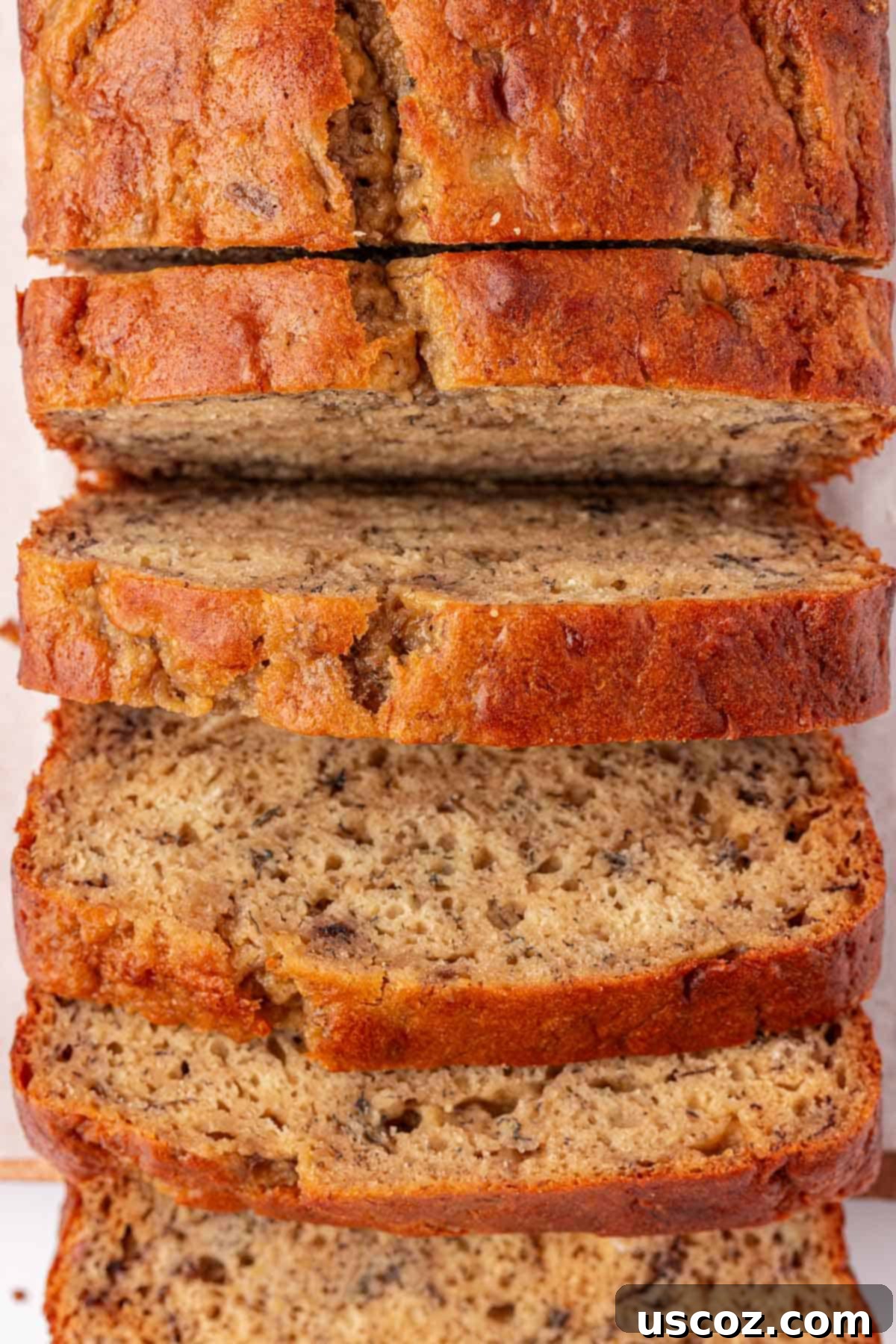 Luscious Greek Yogurt Banana Bread 15 greek yogurt banana bread
