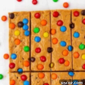 Monster Cookie Protein Bars 14 Monster Cookie Protein Bars