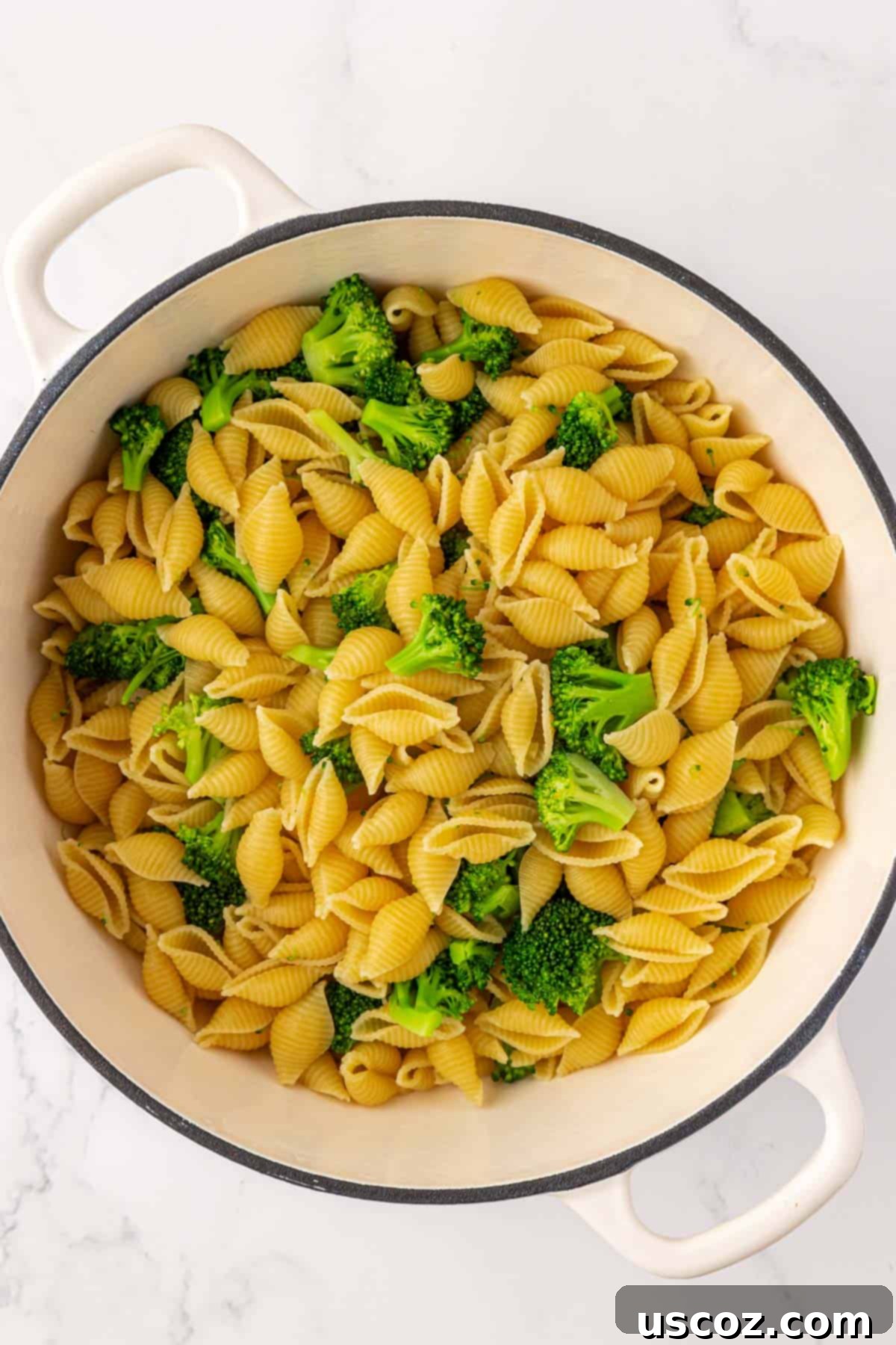 Creamy Broccoli Mac and Cheese 6 pasta shells and broccoli in a pan