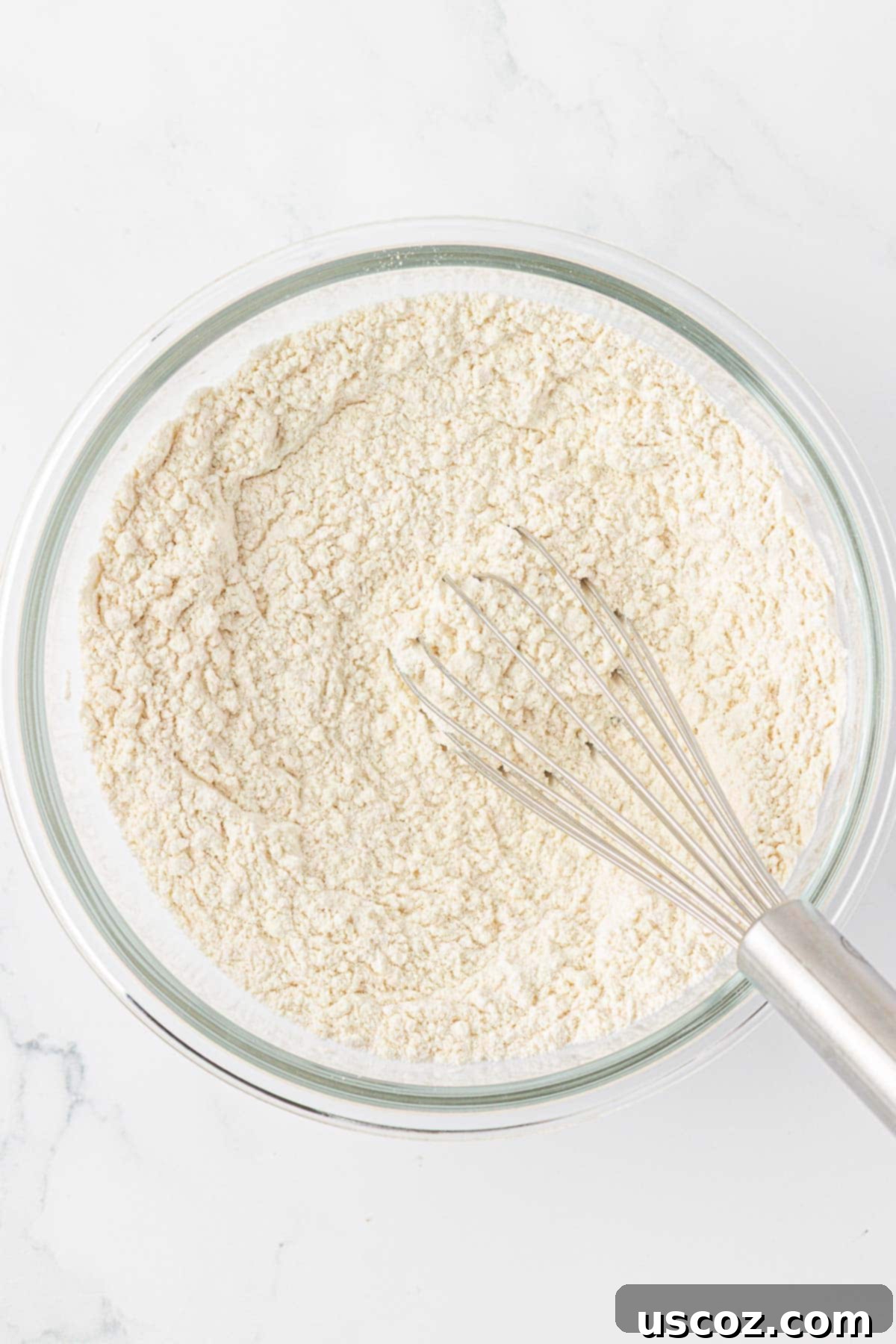 Dry ingredients in a bowl, perfectly whisked together until homogenous.