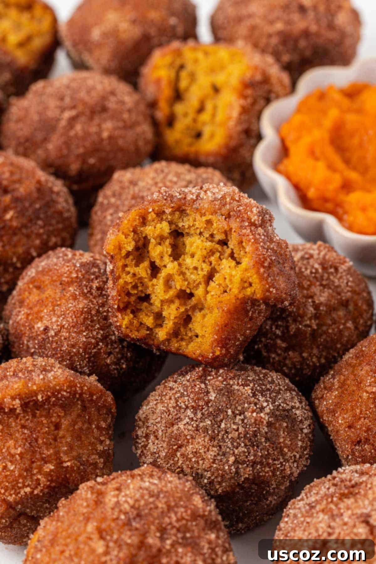 pumpkin donut mini muffins, bite-sized fall treat