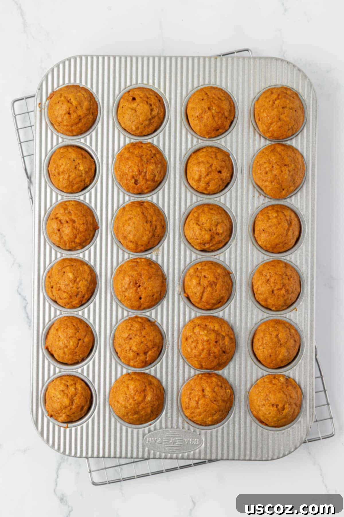 mini pumpkin muffins baking in the tin